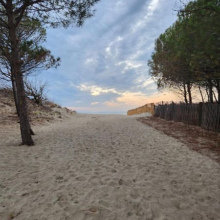 Le Peche Mignon - Appart 1 - Locationlatamarissiere Agde Exteriör bild